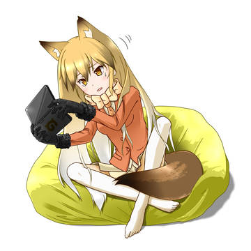 キタキツネ
