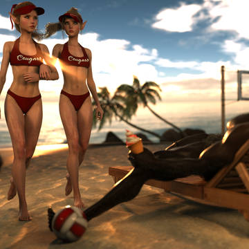 volleyball