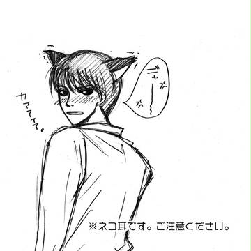 Suga Kitty