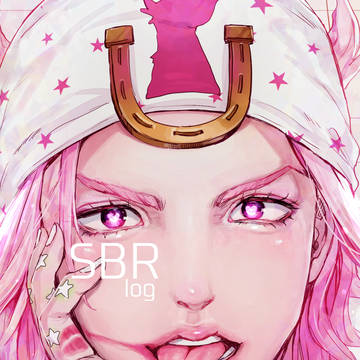 SBRlog