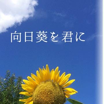 【5/21ラヴコレ】向日葵を君に（夏空のモノローグ）