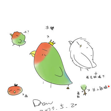 鸚鵡
