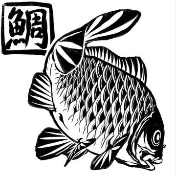 我が家の鯛