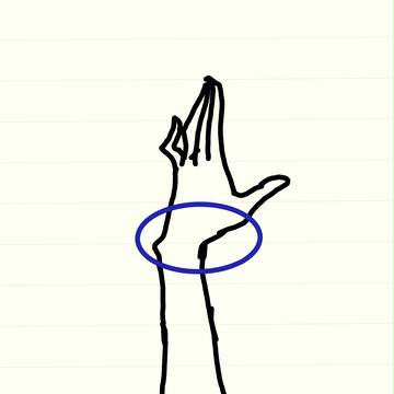手