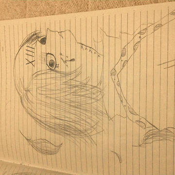 什造