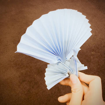Paperflod Peacock