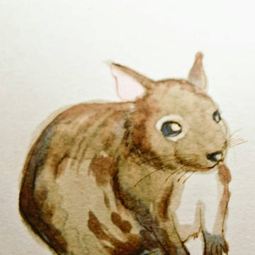 デグーちゃん