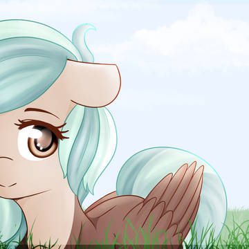 Pony in the field
