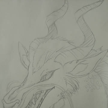 Doodle