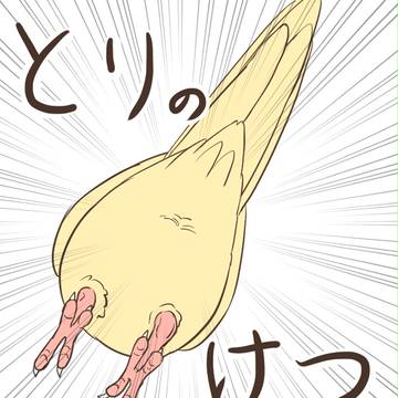 とりのけつ！！！