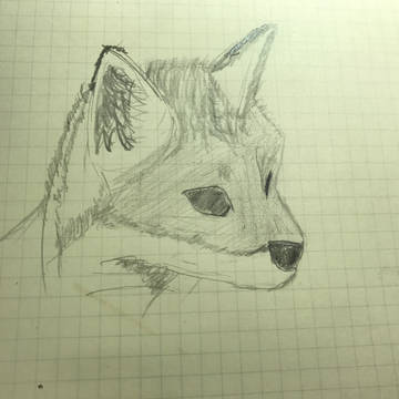 子狐
