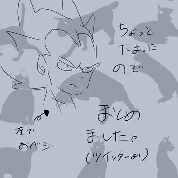 詰めたったー