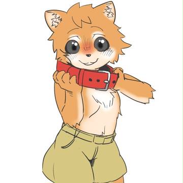 柴子犬風