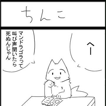 マンドラゴラ
