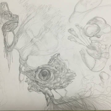 テスト