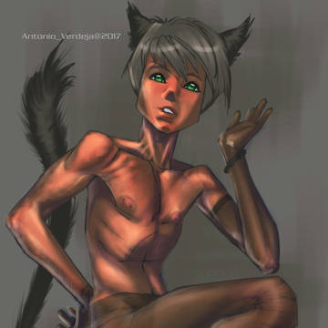 nekoboy
