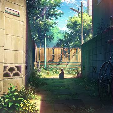 路地裏と猫