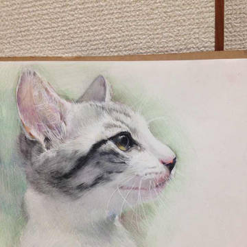 ネコ