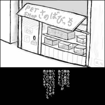 おねえさんとゆっくり⑨