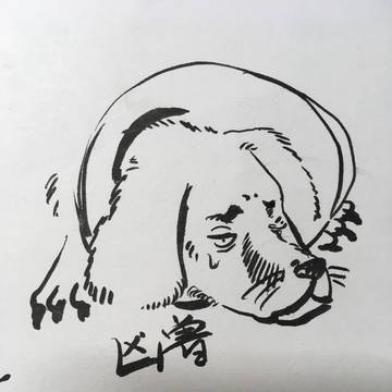 犬