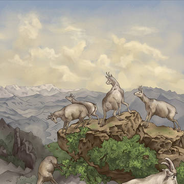山羊效应