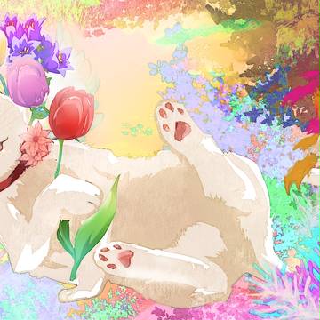 しろねこ
