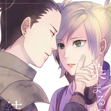 「頒布終了」【全忍6】シカテマ新刊サンプル