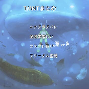 亀まとめ5