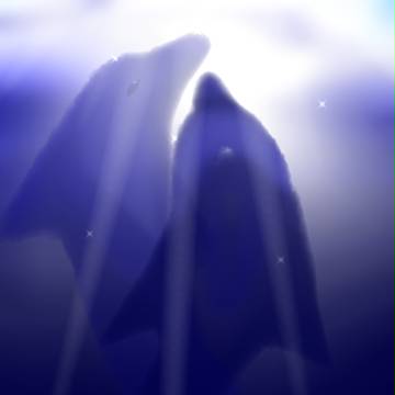 イルカ