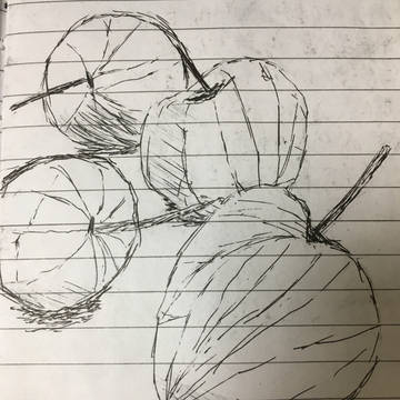 ホオズキ