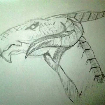 龙