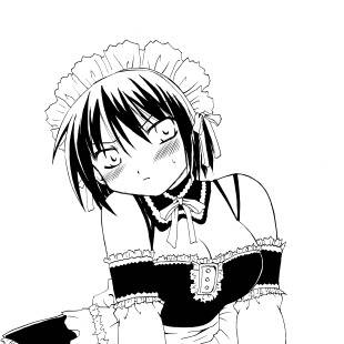 これが私のご主人様