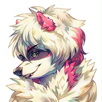 raccoon boya