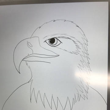 なし