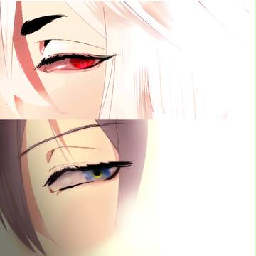 みかさに、こぎさに詰合せ
