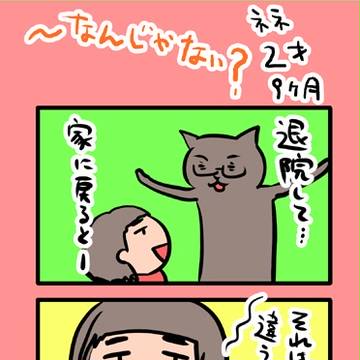 【4コマ】2歳9か月②