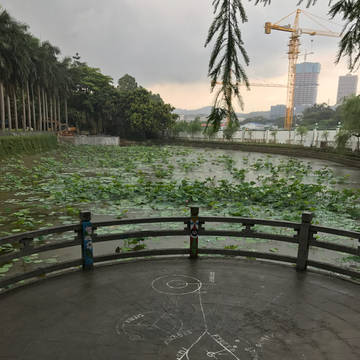 应景