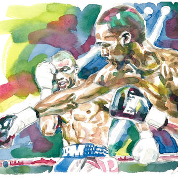 boxer