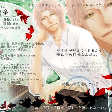 【金救ふ】哉多【金魚】