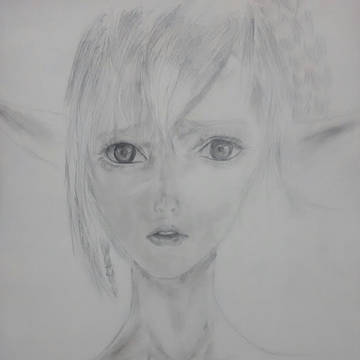 模写