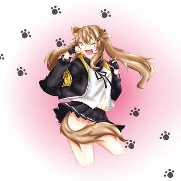 少前 ump9