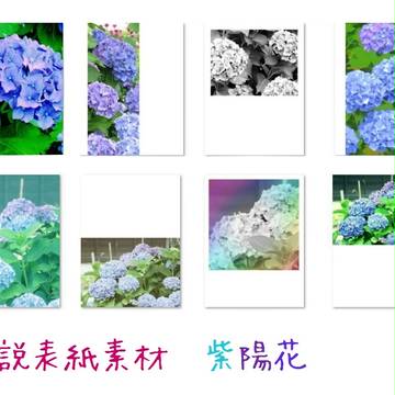 【小説用素材】 紫陽花