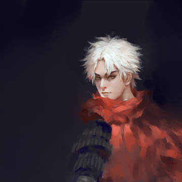 FGO 衛宮Assasin