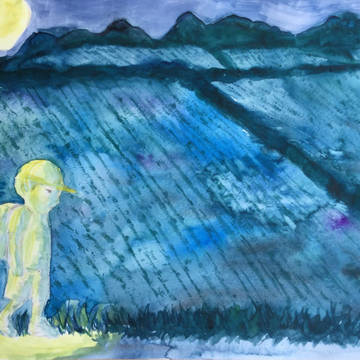 夜の田んぼ