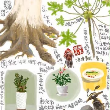 日常绘画-植物