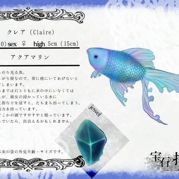 【ほうかご】　クレア　【妖精】