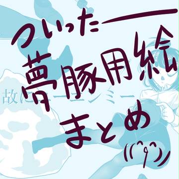 【※夢絵注意】ついったー夢絵まとめ