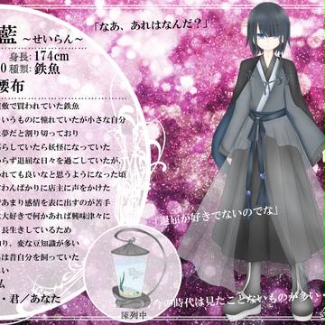 【金救ふ】青藍【金魚】