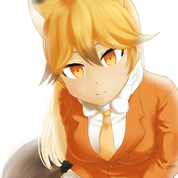 キタキツネ