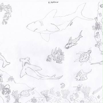 Sea Life